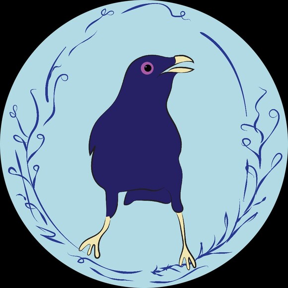 bluebowerbird